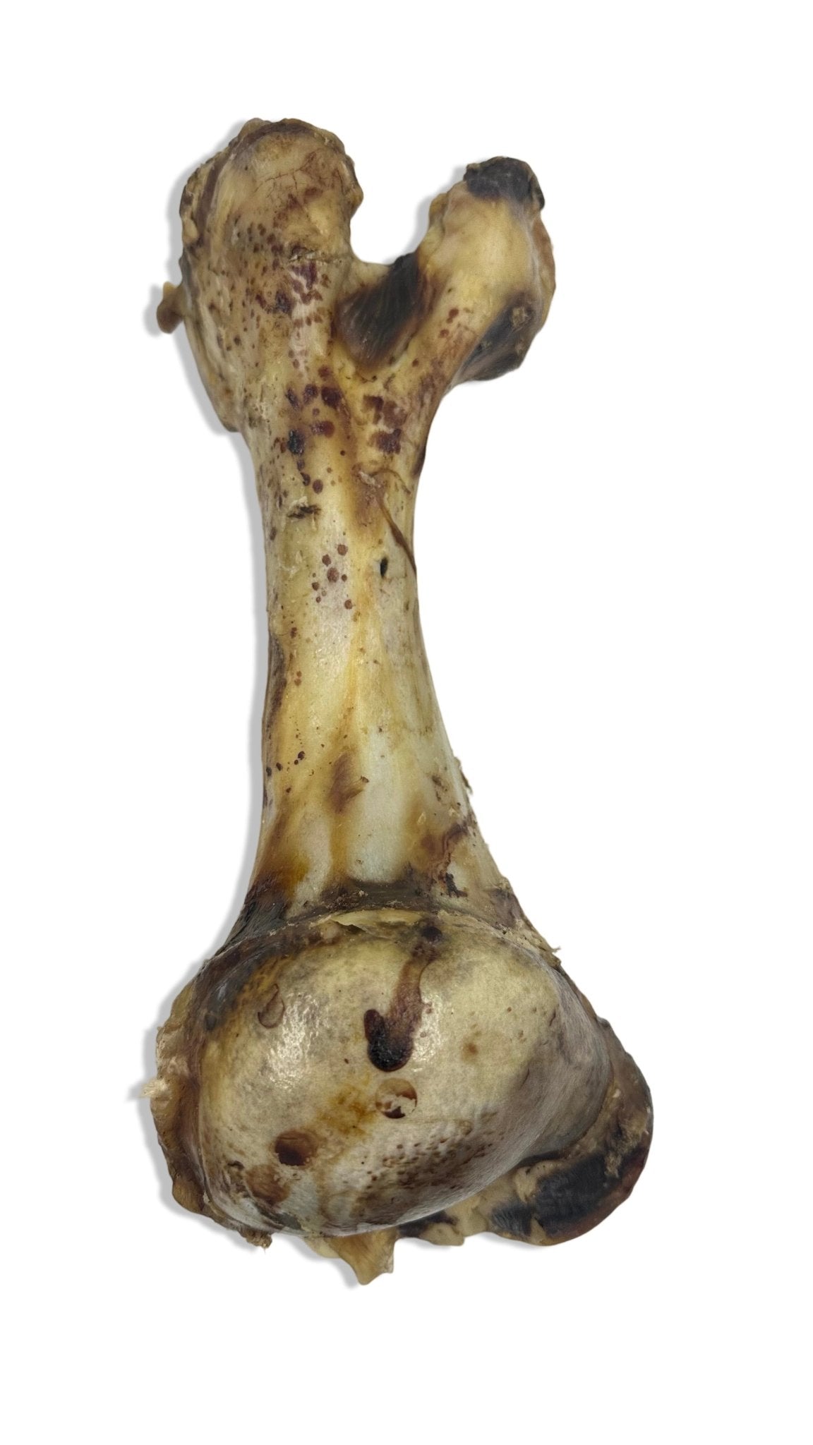 Rinderknochen Jumbo 35 & 45 cm - Kallisbest