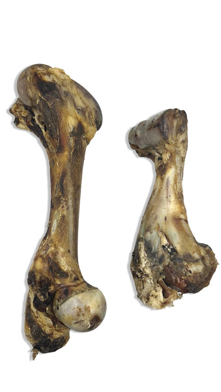 Rinderknochen Jumbo 35 & 45 cm - Kallisbest