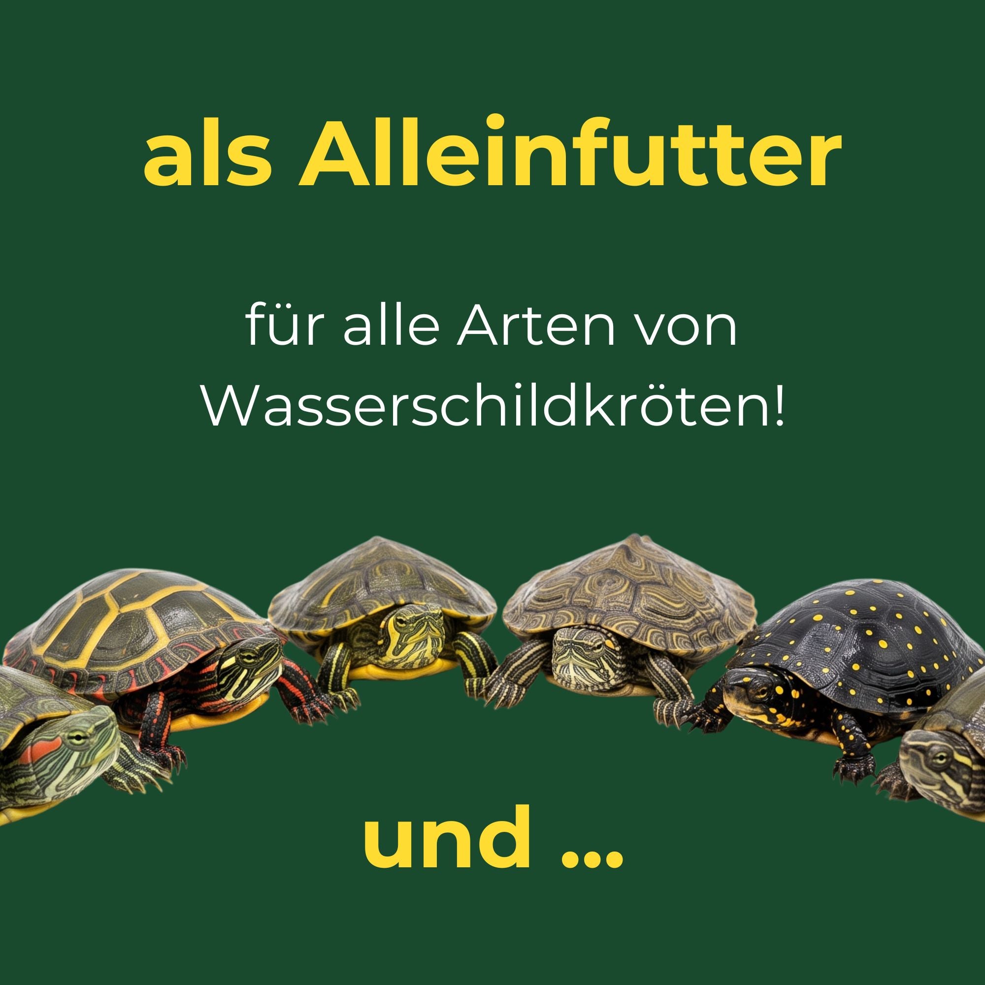 Schildkrötensticks + Insekten-Mix für Wasserschildkröten und Zierfische – Extra Gammarus