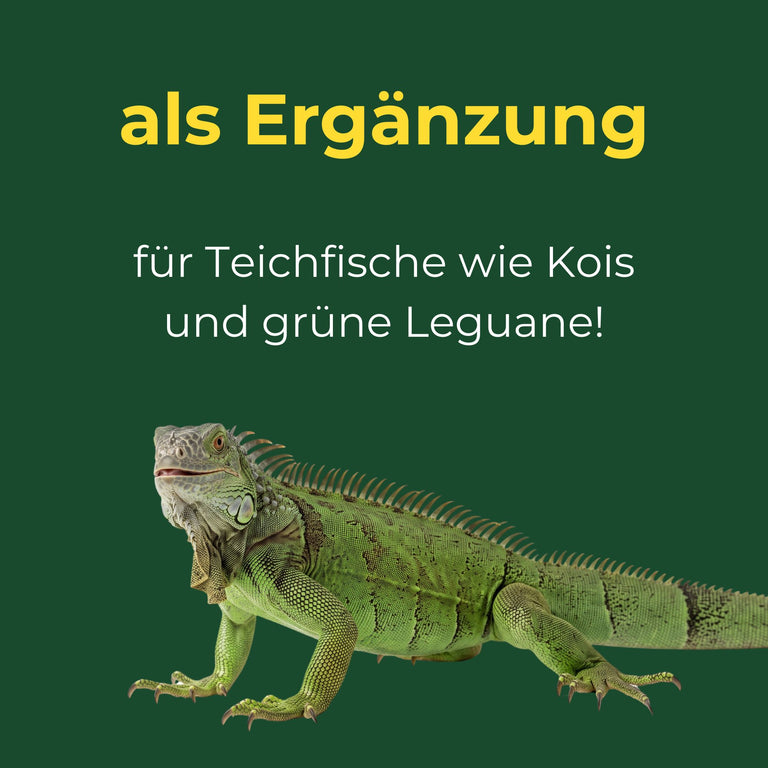 Schildkrötensticks + Insekten-Mix für Wasserschildkröten und Zierfische – Extra Gammarus