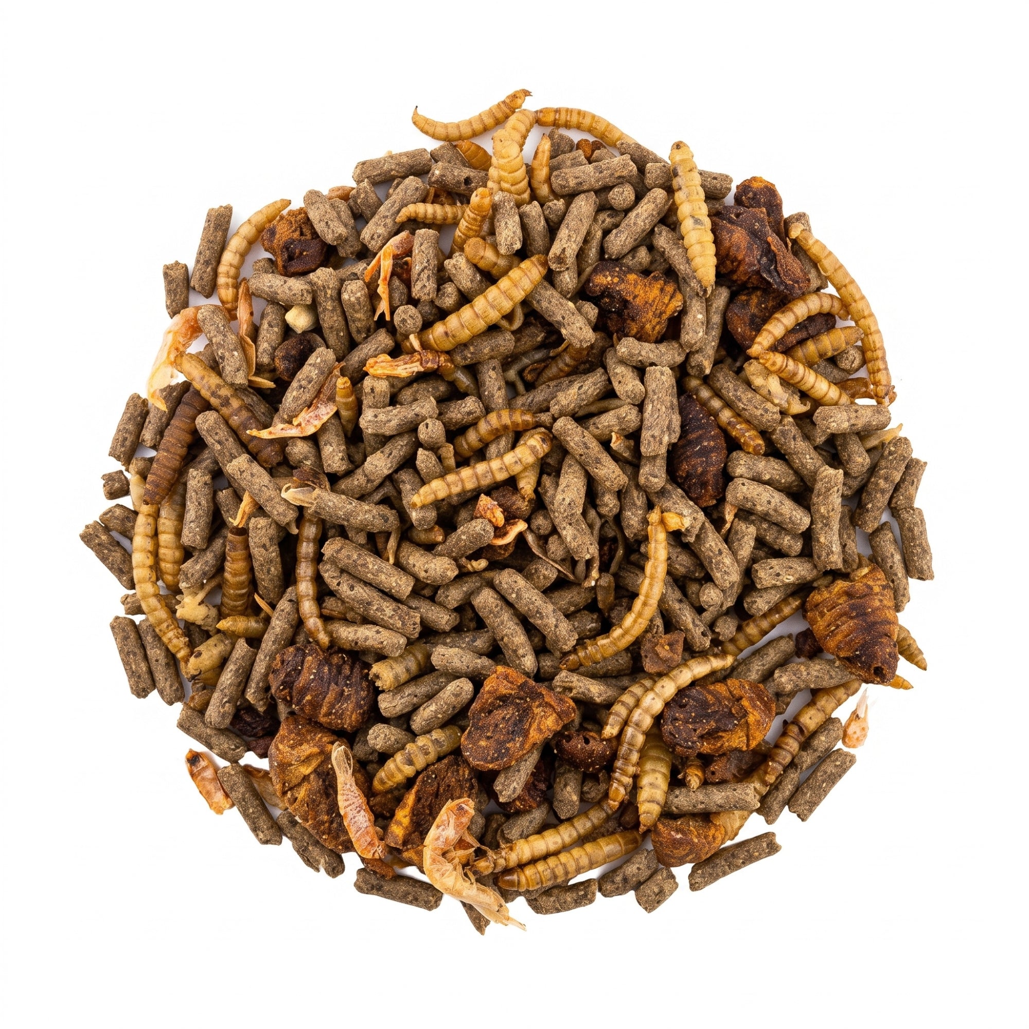 Schildkrötensticks + Insekten-Mix für Wasserschildkröten und Zierfische – Extra Gammarus