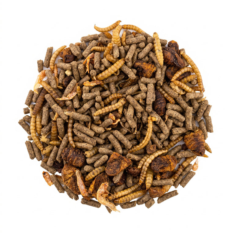 Schildkrötensticks + Insekten-Mix für Wasserschildkröten und Zierfische – Extra Gammarus