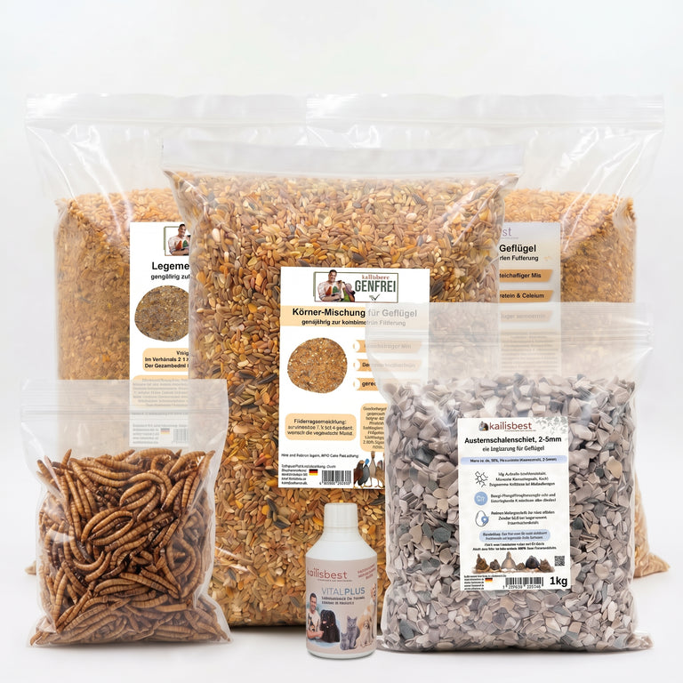 Sparpaket: 1x Körner-Mischung + 2x Legemehl – GVO-frei – Made in Germany
