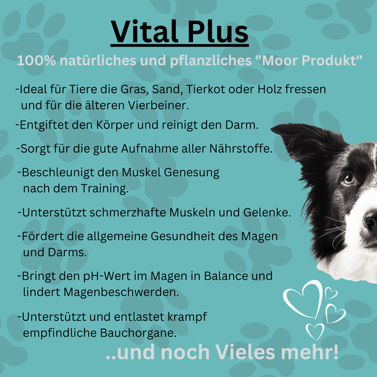 Vital DUO für den Hund - Kallisbest