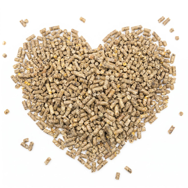 Kallisbest Feine Pellets mit Kräuterkomplex – 2,2 mm, Genfrei, für Ziergeflügel & Wachteln, 5 kg