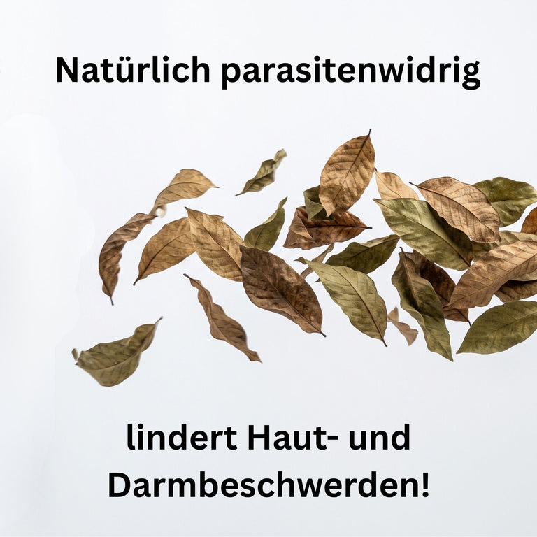 Walnussblätter getrocknet – Naturkraut für Pferde, Kaninchen & Meerschweinchen | Kallisbest