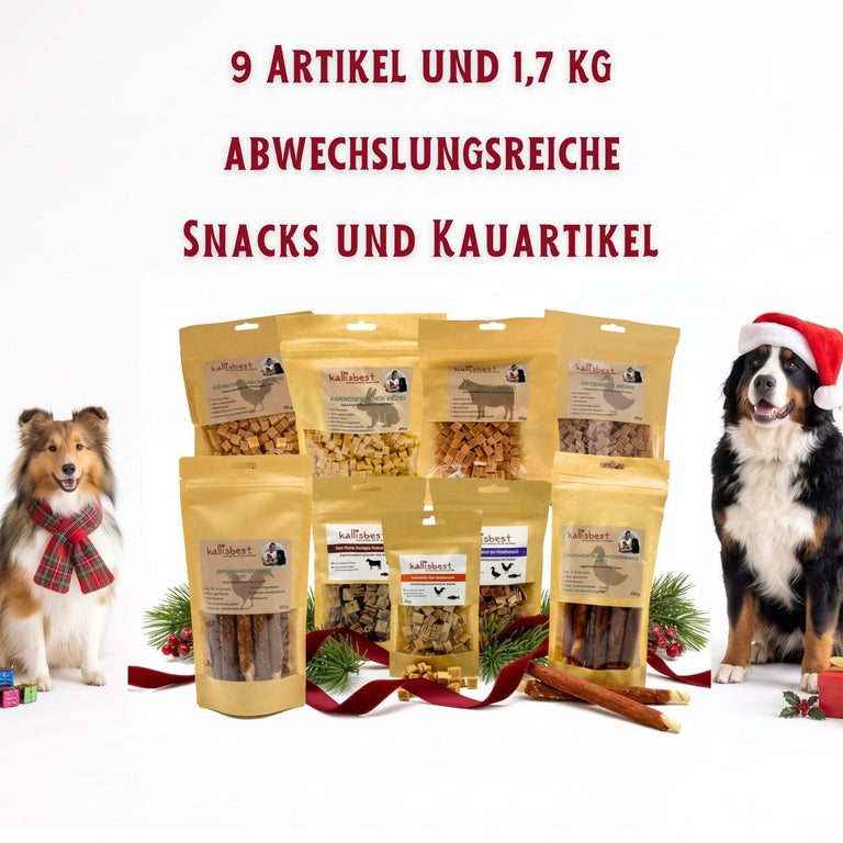 Weihnachtsbox für Hunde – 9 Kauartikel & Leckerlis, 1,7 kg | Kallisbest