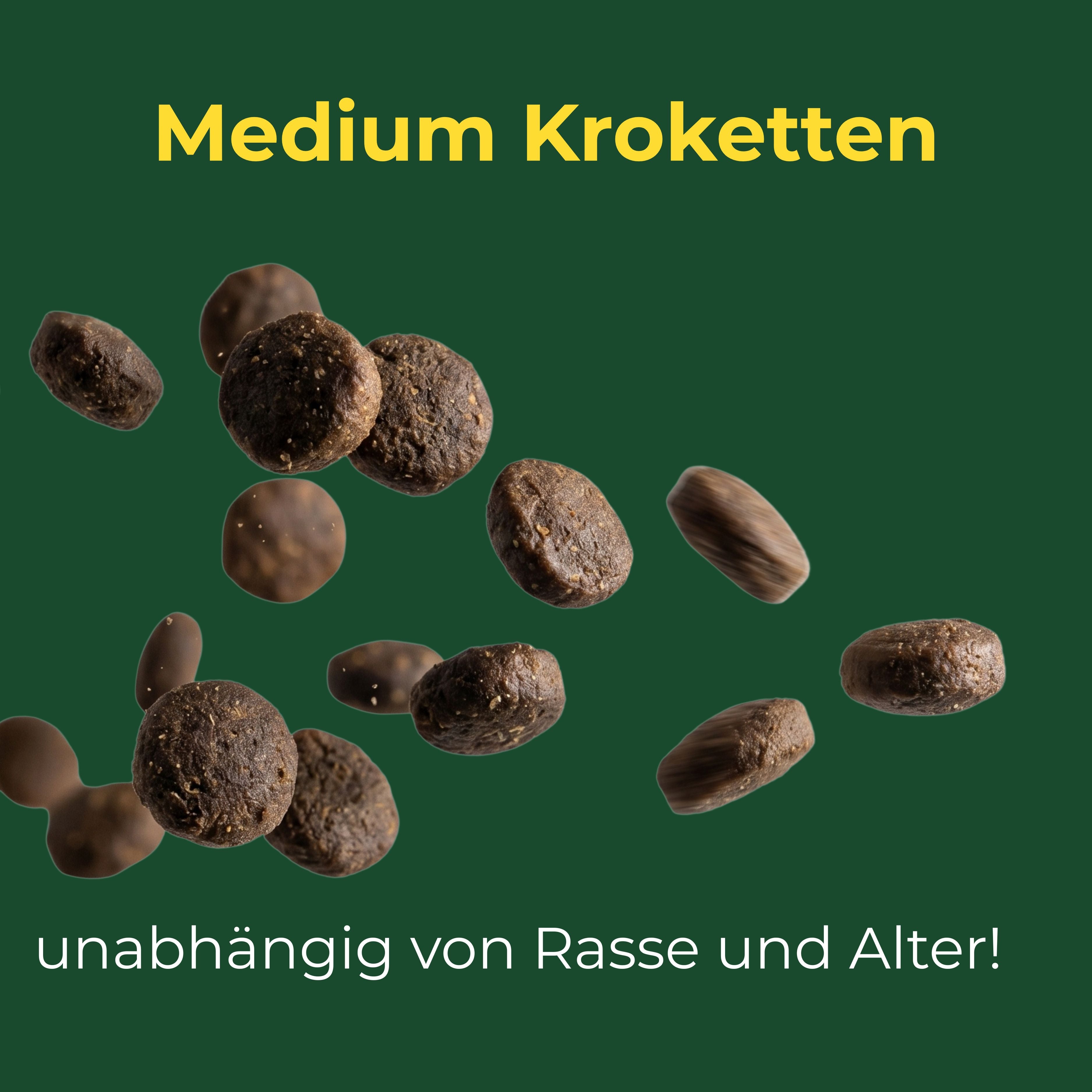 Wild mit Fisch Menü Adult medium Kroketten