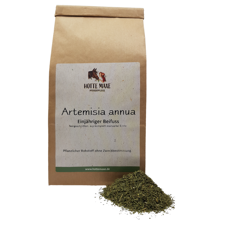 Hotte Maxe Einzelkräuter einjähriger Beifuss, feingeschnitten, Artemisia annua, Handernte