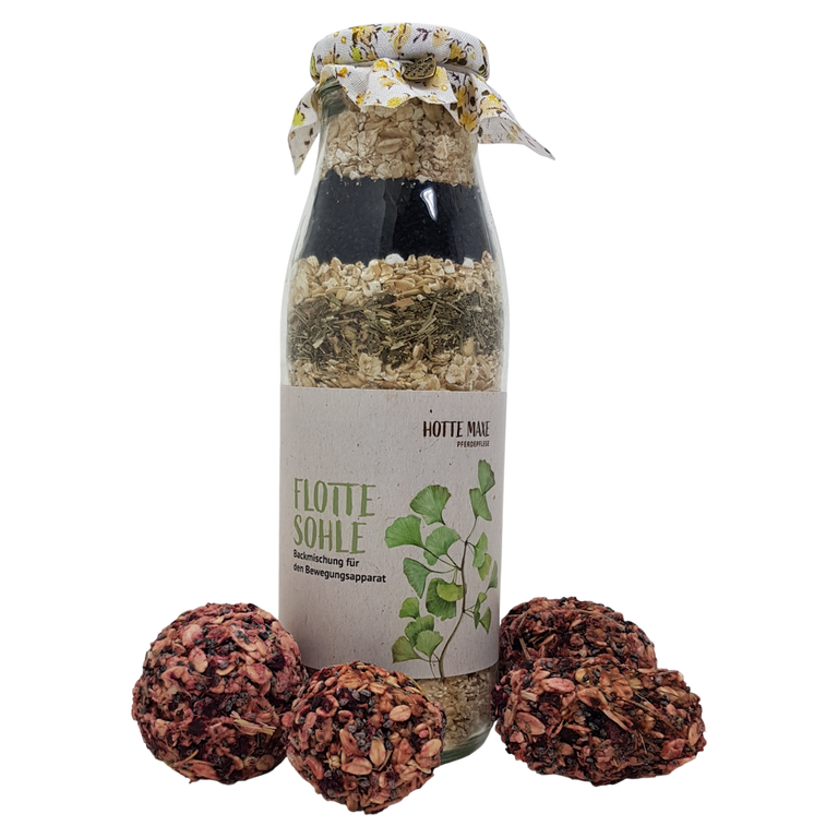 Hotte Maxe Backmischung Flotte Sohle, 500ml