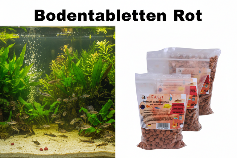 Premium Bodentabletten rot für Zierfische | Kallisbest