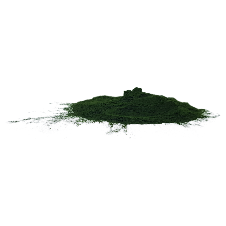 Hotte Maxe Einzelkräuter Chlorella Algenpulver, 500g