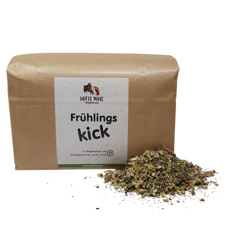 Hotte Maxe Kräuter-Mischung Frühlingskick, 1kg