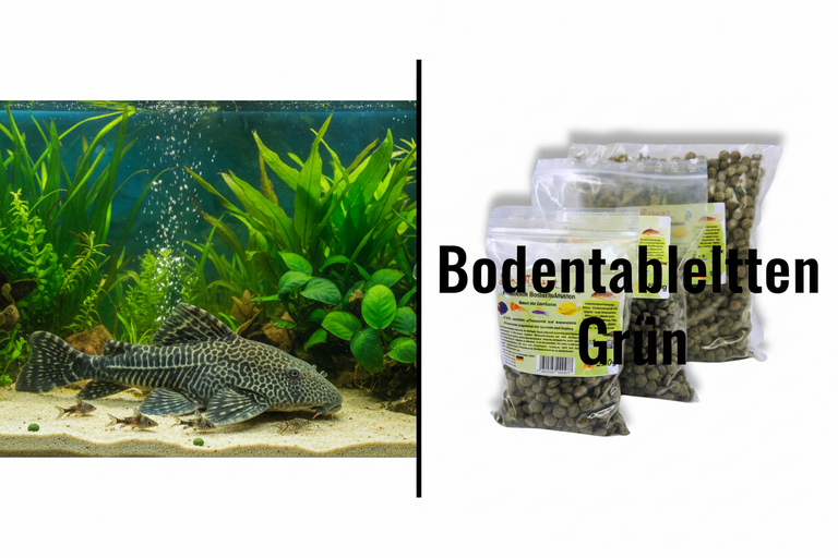 Premium Bodentabletten grün für Zierfische | Kallisbest