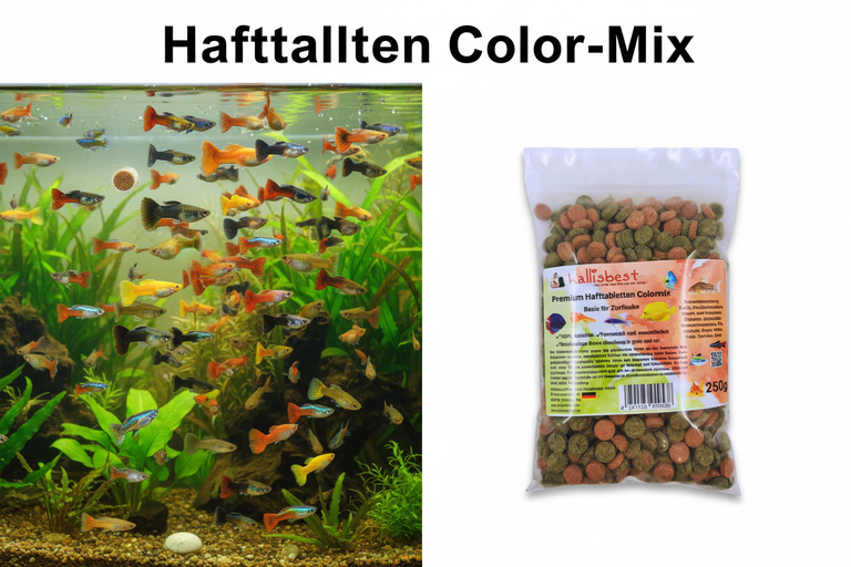 Premium Hafttabletten Colormix, grün und rot für Zierfische | Kallisbest