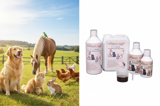 Viele Tiere mit Kallisbest Vital Plus Originalflasche – Kallisbest