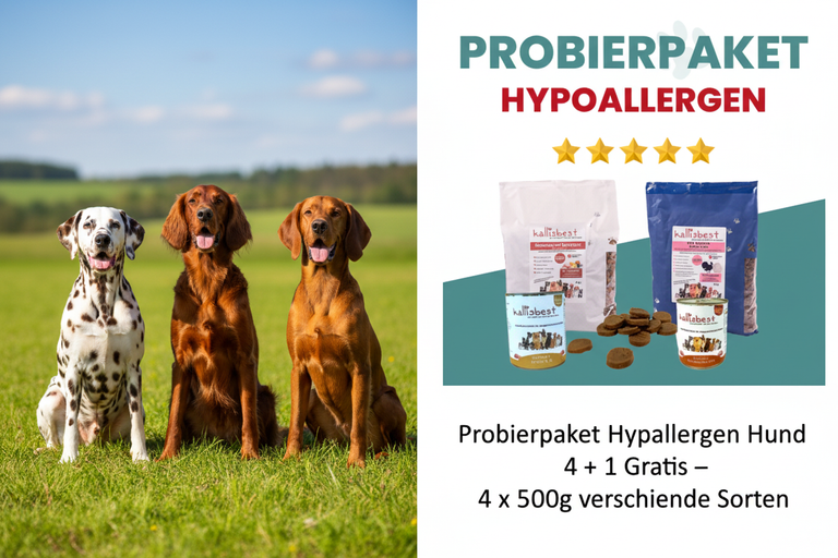 Probierpaket Hypoallergen Hund 4+1 Gratis – Dalmatiner, Irish Setter und Vizsla auf Wiese