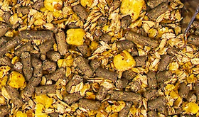 Deukavallo Apfel-Cornmüsli 20 kg – Müsli Nahaufnahme