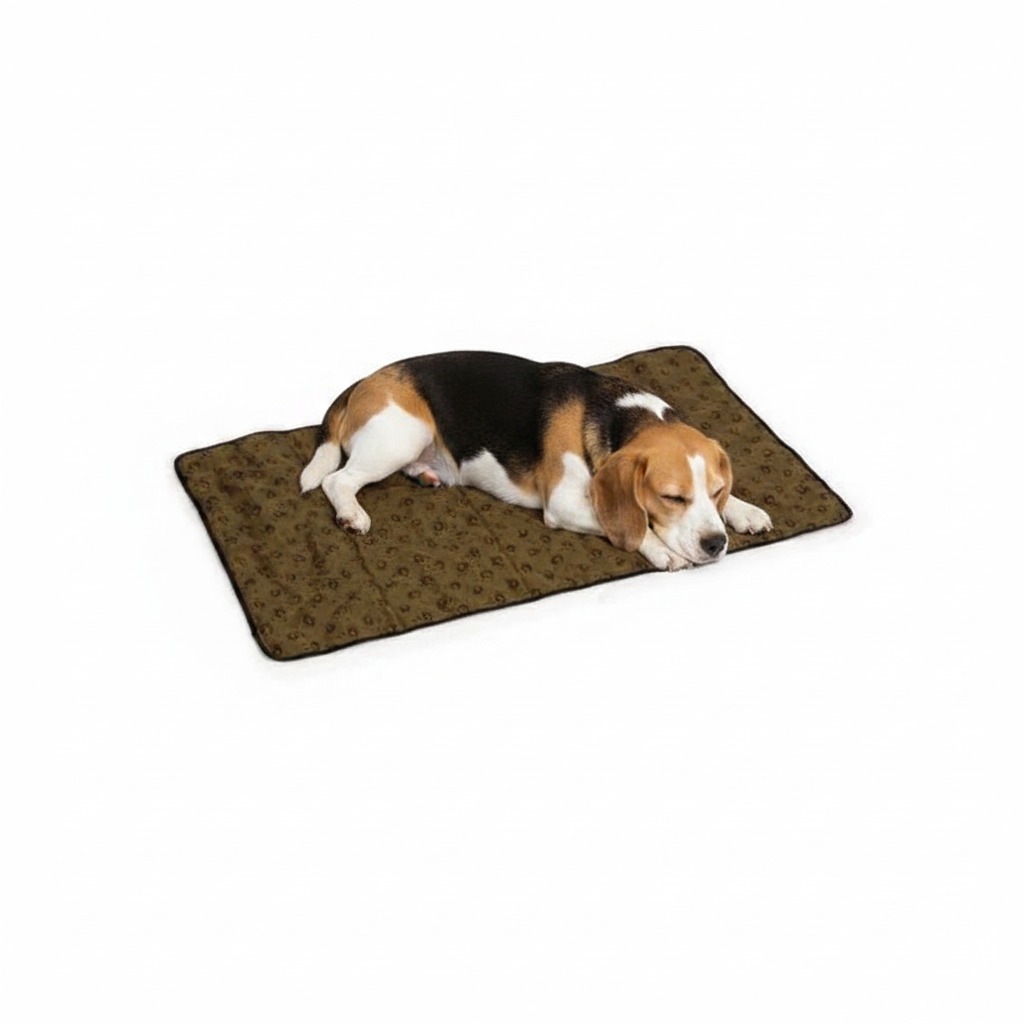Beagle liegt auf Beeztees Quick Cooler Kühlmatte