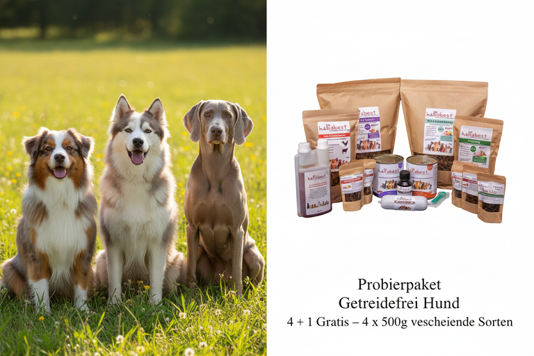 Probierpaket Getreidefrei Hund 4+1 Gratis – Australian Shepherd, Husky und Weimaraner mit Produktbeuteln