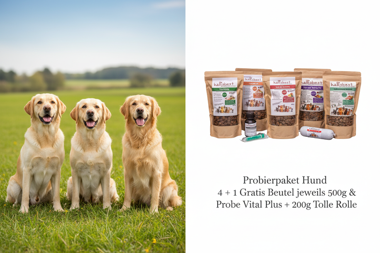 Probierpaket Hund 4+1 Gratis – Split-Bild mit Labrador, Golden Retriever und Schäferhund