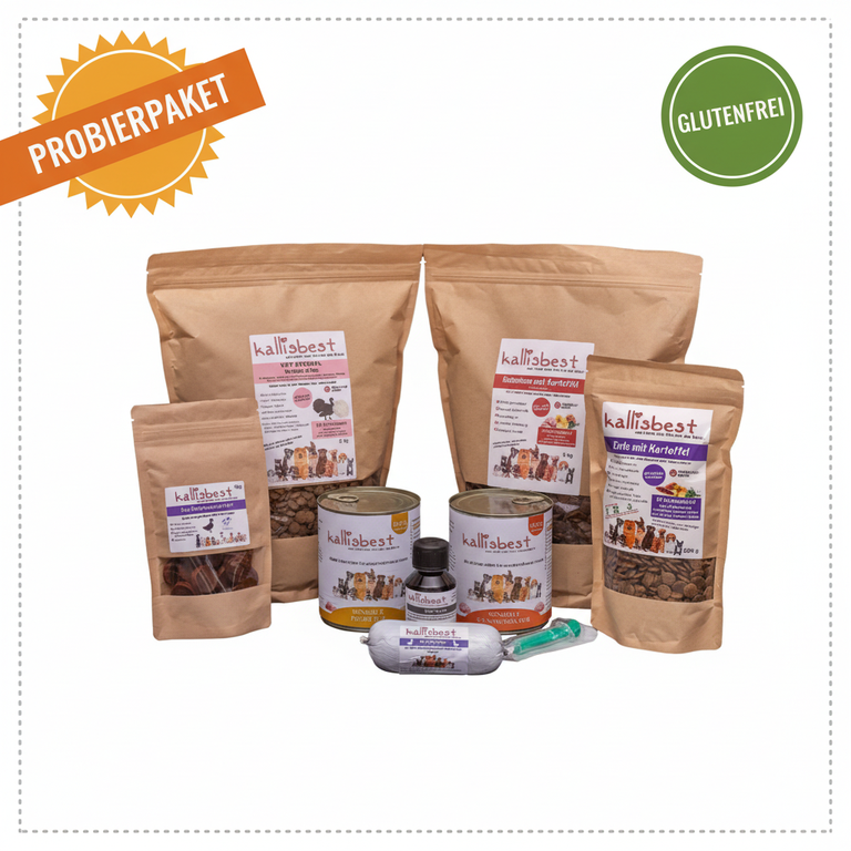Probierpaket Glutenfrei Hund 2x3kg + Extras – Modern