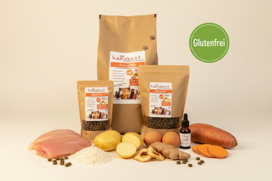 Huhn mit Reis Medium Kroketten – Verpackung mit Zutaten und Glutenfrei-Badge