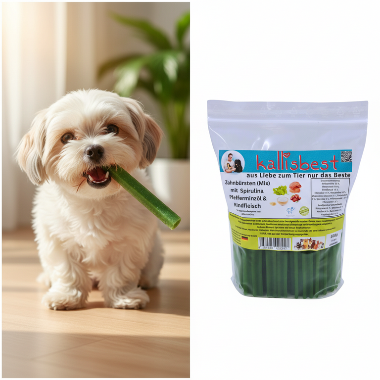 Zahnbürsten Mix Pfefferminze – kleiner Hund kaut begeistert | Kallisbest