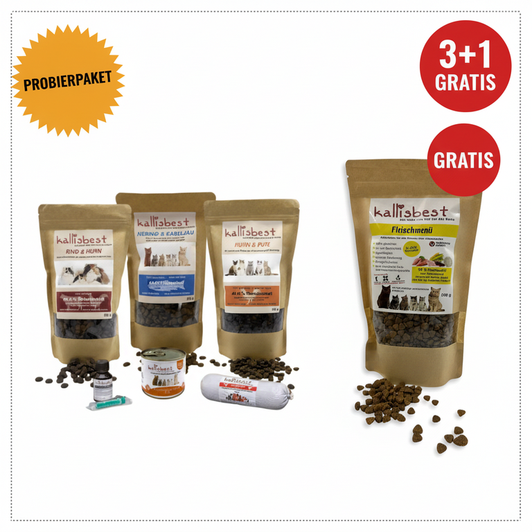 Probierpaket Katzen 3+1 Gratis – Modern mit Fleischmenü Gratis-Beutel