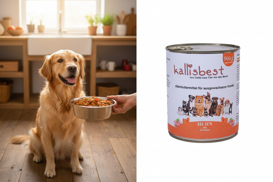 Huhn mit Gemüse Nassfutter – Split Golden Retriever + Produktfoto