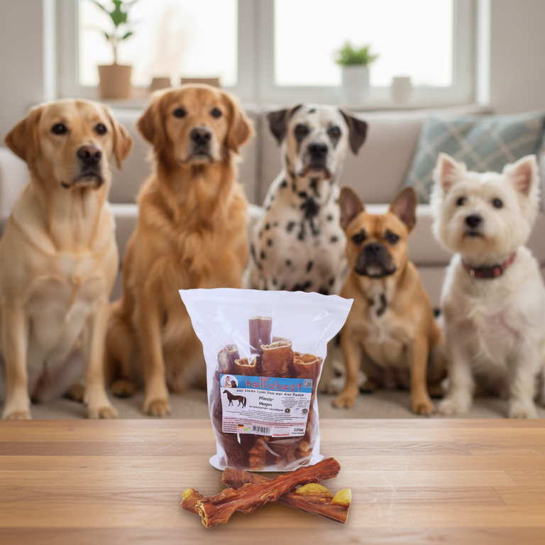 Allergiker Hunderassen mit Pferdemagen Kallisbest