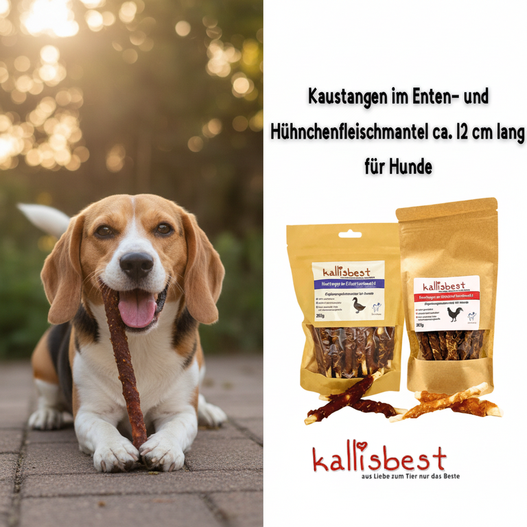 Kaustangen Hühnchen & Ente – mittlerer Hund kaut begeistert | Kallisbest