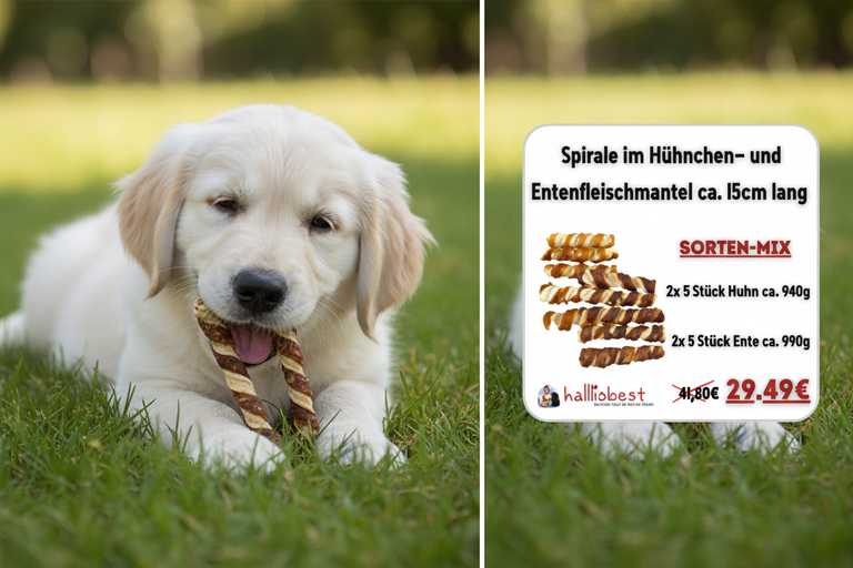 Spirale Sorten-Mix – Split-Bild Golden Retriever Welpe