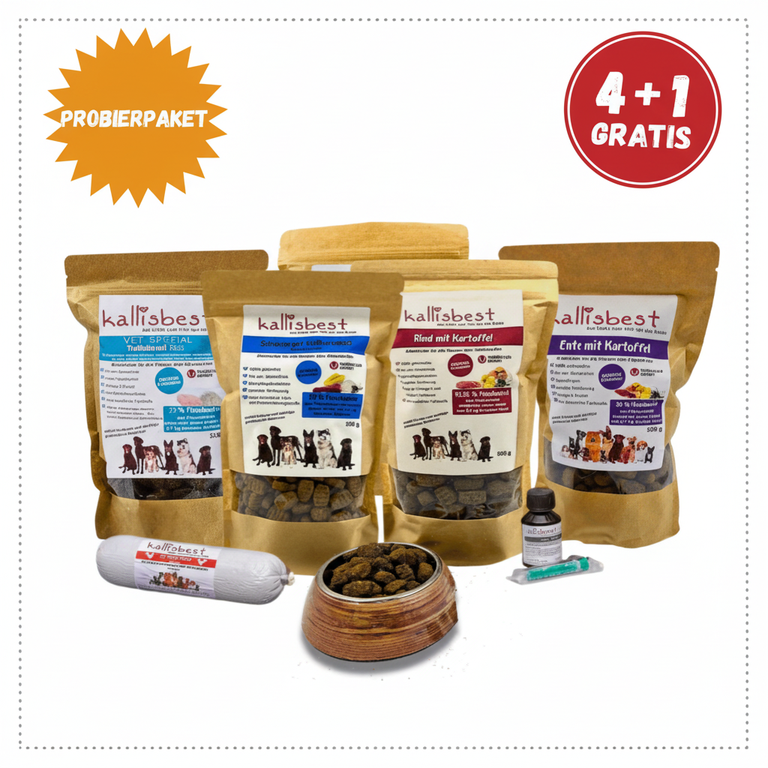 Probierpaket Hund große Kroketten 4+1 Gratis – Modern