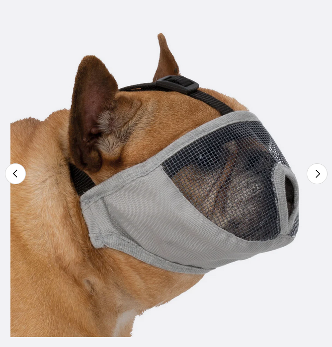 Trixie Maulkorb Grau an French Bulldog