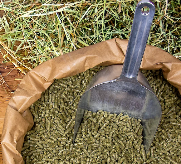 Deukavallo Top Gastro 20 kg – Getreidefreies Pellet für Pferde
