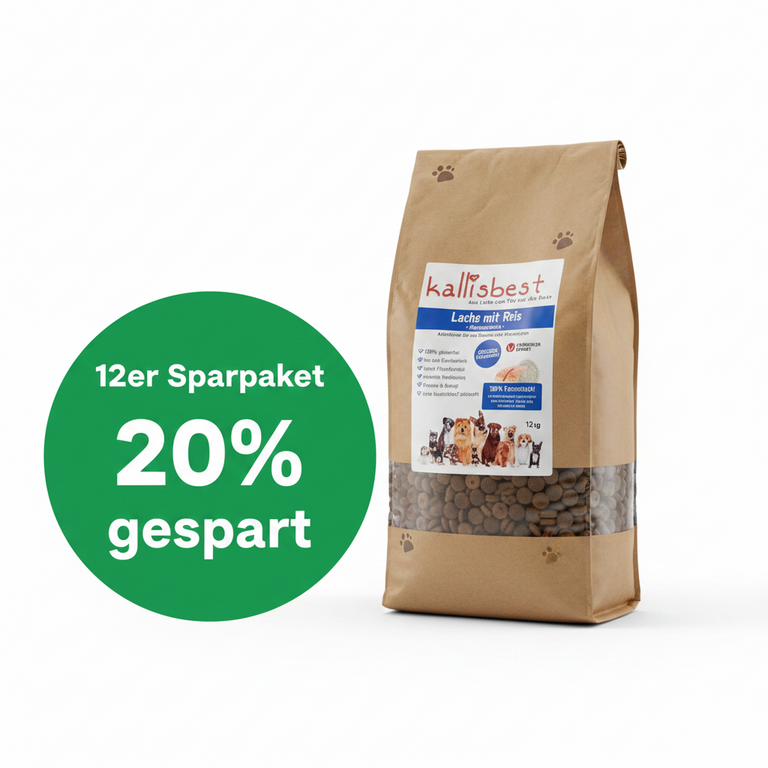 Lachs mit Reis große Kroketten – 12 x 12kg Sparpaket