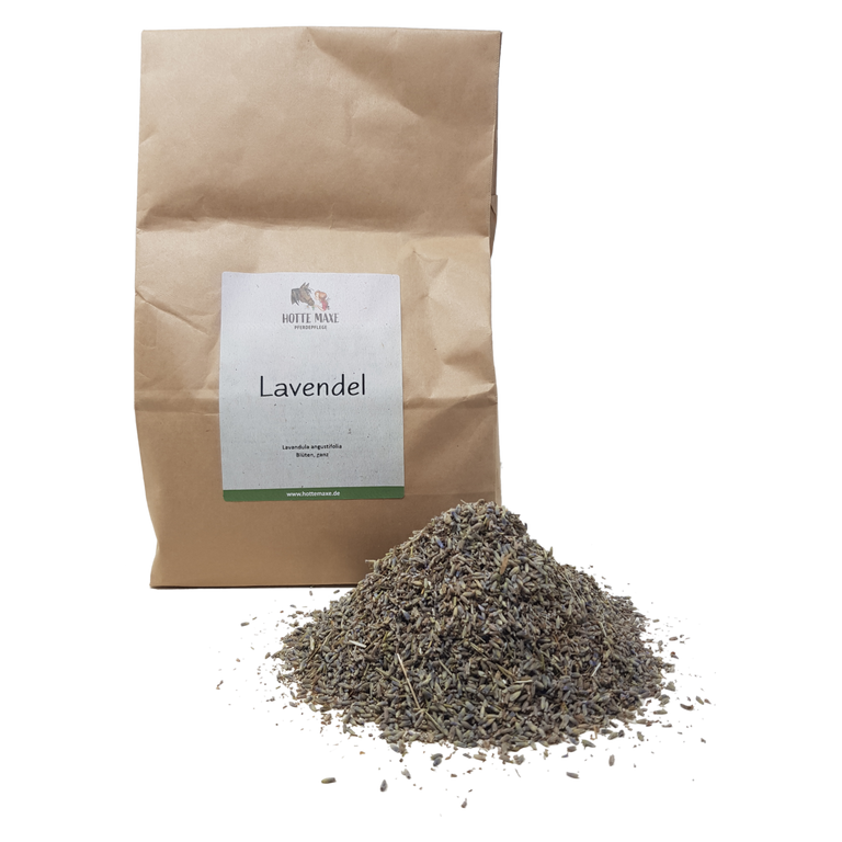 Hotte Maxe Einzelkräuter Lavendel, Blüten