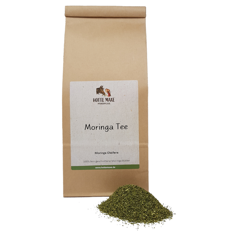 Hotte Maxe Einzelkräuter Moringa Tee
