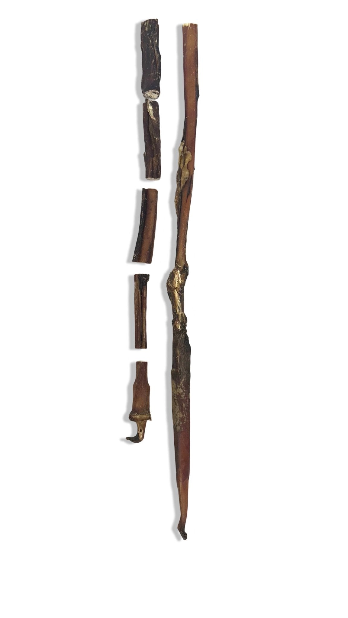 Ochsenziemer ab 12 cm Stücke bis 110cm lange ganze Ziemer mit Fleisch - Kallisbest