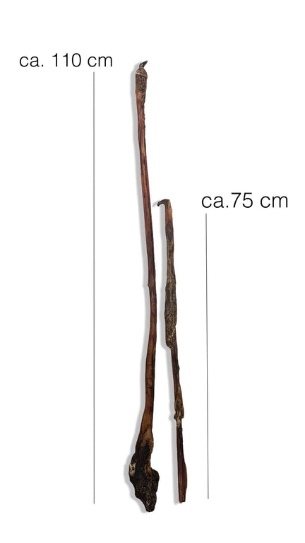 Ochsenziemer ab 12 cm Stücke bis 110cm lange ganze Ziemer mit Fleisch - Kallisbest