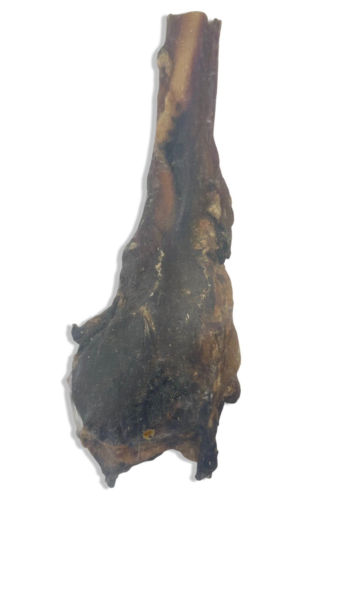 Ochsenziemer ab 12 cm Stücke bis 110cm lange ganze Ziemer mit Fleisch - Kallisbest