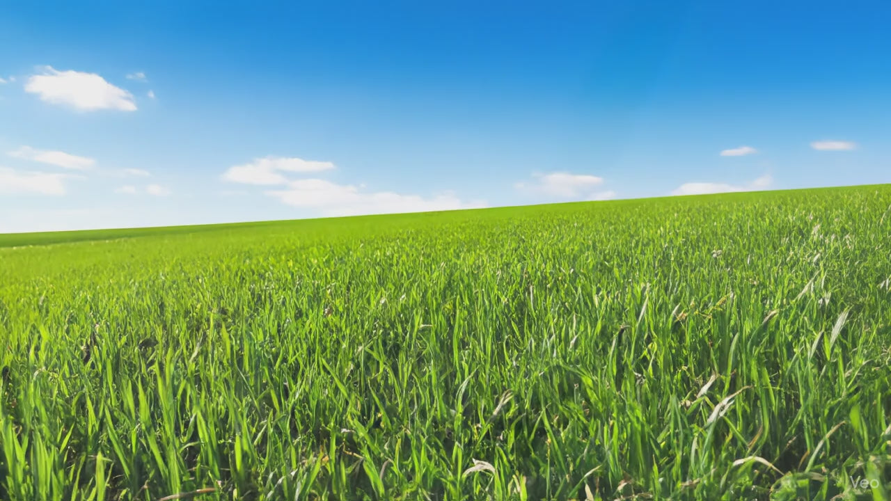 Himalaya Yak Kaukäse für Hunde,  3 Stück gepackt,  in verschiedenen Größen von XS - GIANT