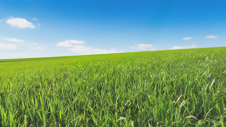 Himalaya Yak Kaukäse für Hunde,  3 Stück gepackt,  in verschiedenen Größen von XS - GIANT