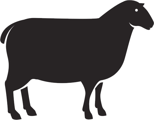 Lamm Pur - Kallisbest