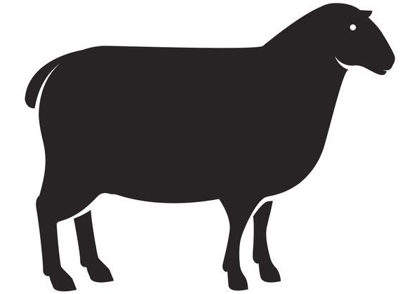 Lamm Sticks Soft 100g - Kallisbest