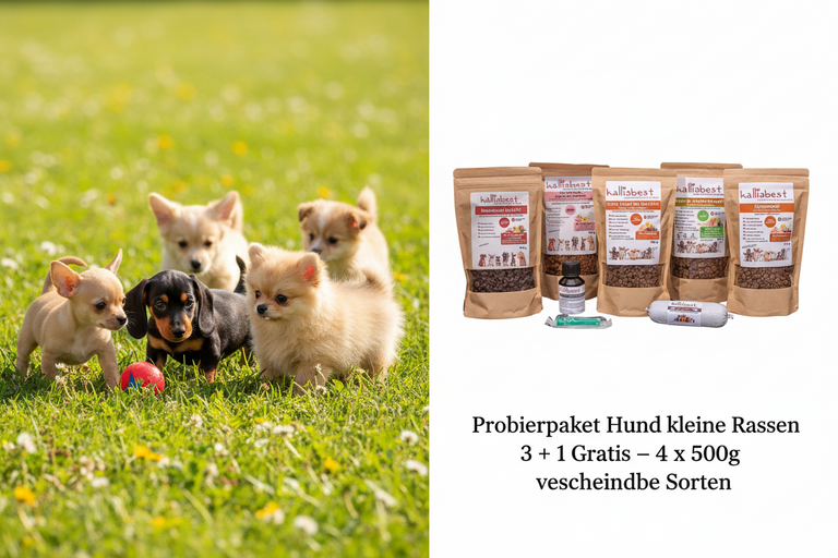 Probierpaket Hund kleine Rassen 3 + 1 Gratis – 4 x 500g verschiedene Sorten | Kallisbest