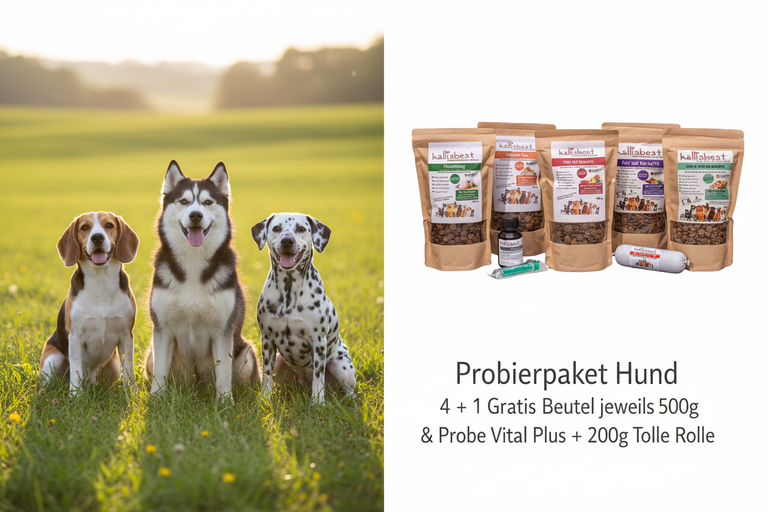 Probierpaket Hund 4 + 1 Gratis Beutel jeweils 500g & Probe Vital Plus + 200g Tolle Rolle