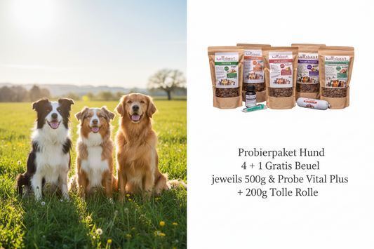 Probierpaket Hund 4 + 1 Gratis Beutel jeweils 500g & Probe Vital Plus + 200g Tolle Rolle