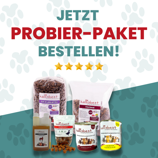 Probierpaket Glutenfrei für den Hund + Gratis Beutel & Probe Vital Plus + 200g Tolle Rolle